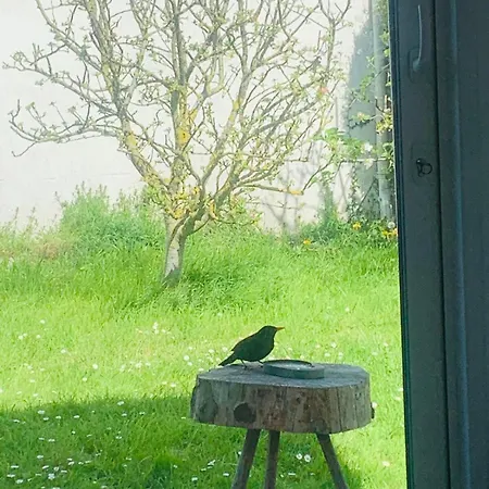 Maison Totoro Prázdninový dům Heugueville-sur-Sienne